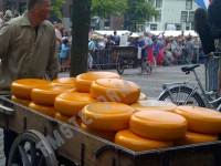 Alkmaar Cheese market